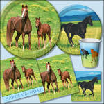 Contact Party On! for all your Horse Party Supplies today! 604.881.0001